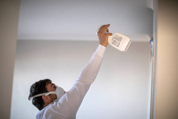 Best Residential Mold Remediation in Veneta, OR